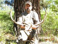 Traditional Bowhunters of Texas