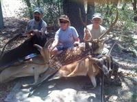 Traditional Bowhunters of Texas