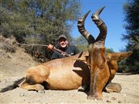 Traditional Bowhunters of Texas