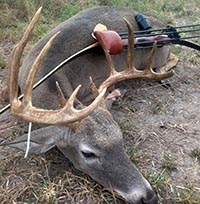 Traditional Bowhunters of Texas