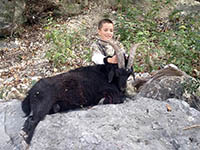 Traditional Bowhunters of Texas