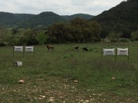 Traditional Bowhunters of Texas